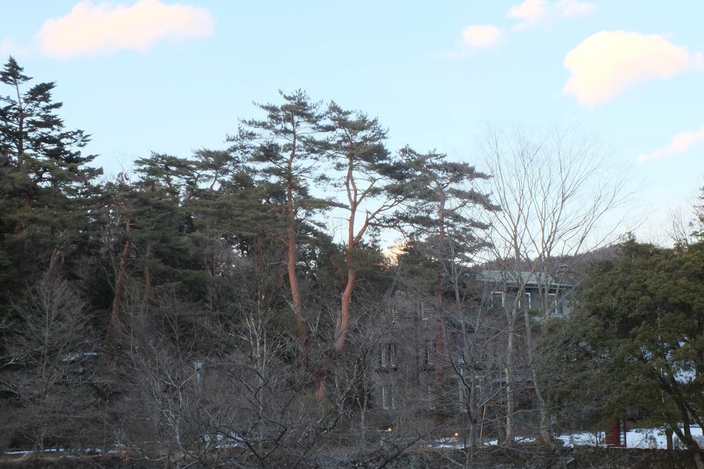 Hotel Seikoen Nikko Dış mekan fotoğraf